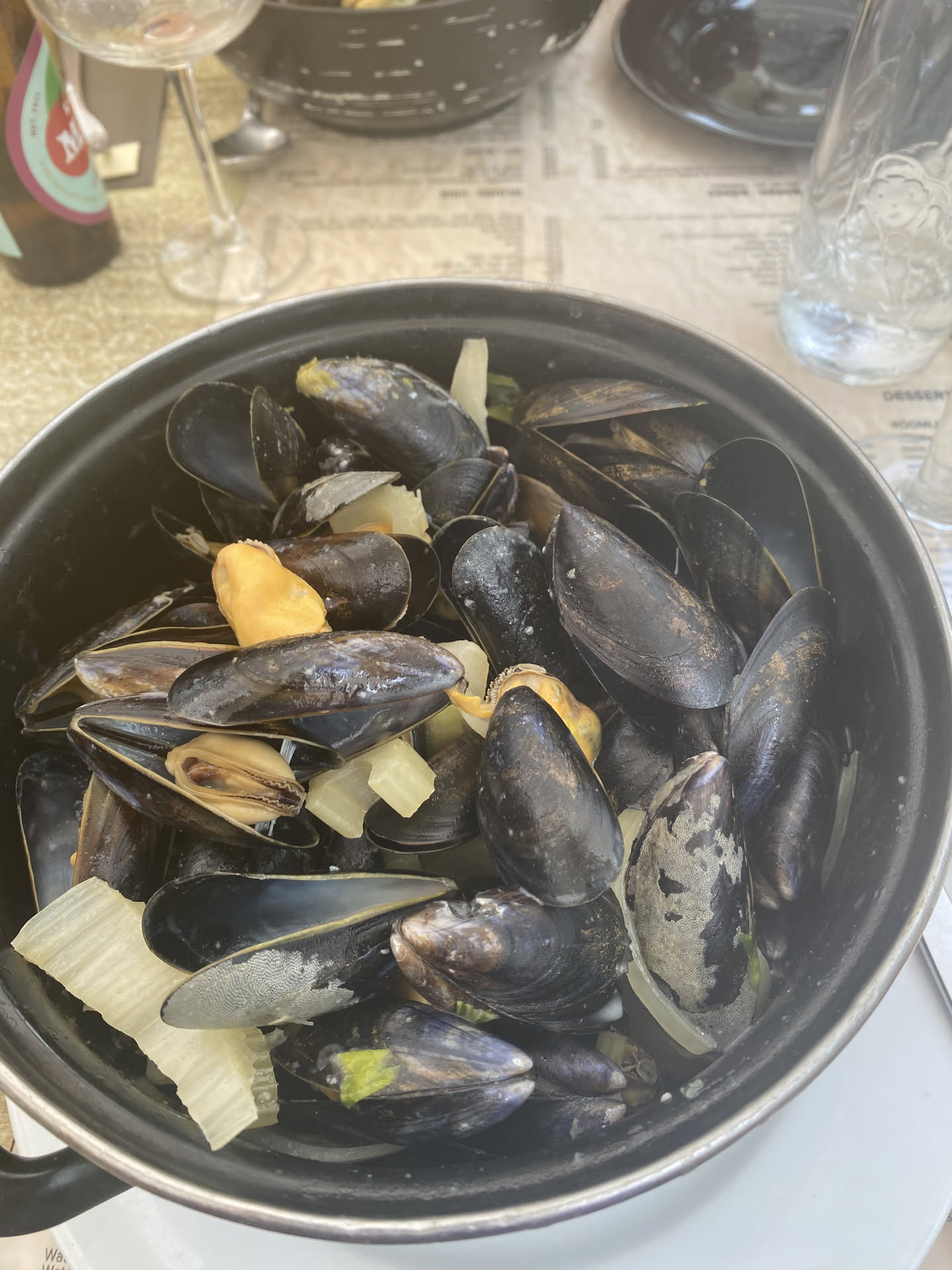 mussles