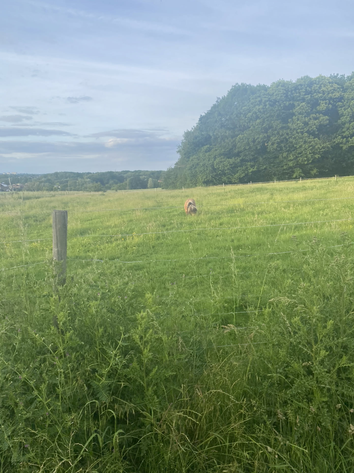 farm near trail