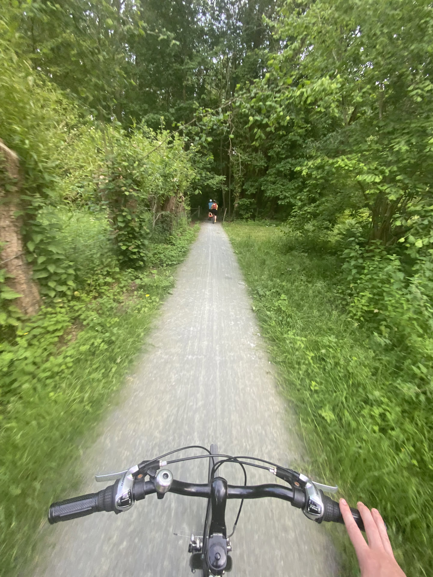 bike trail