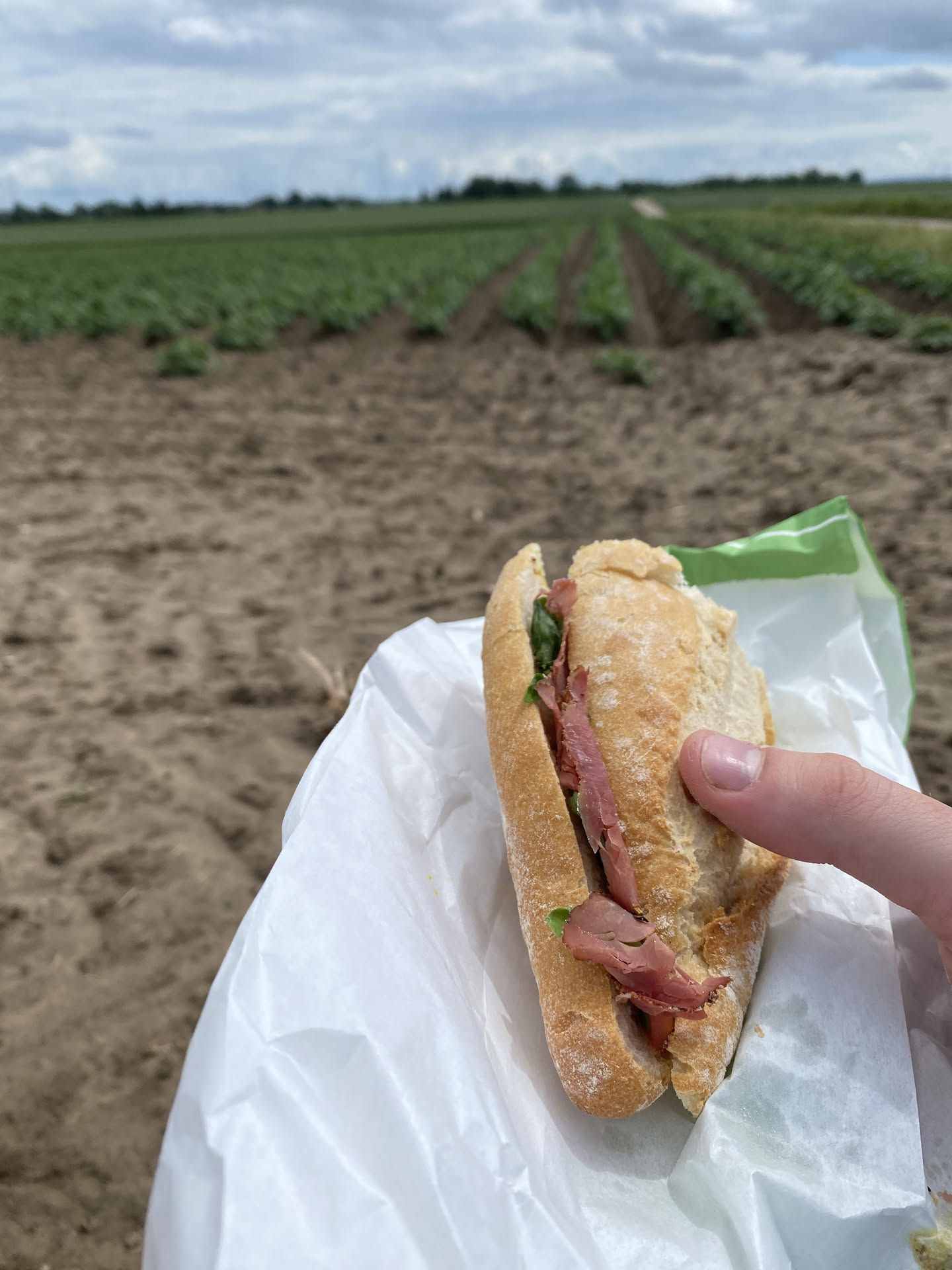 sandwich